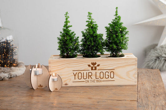 10x Eco-vriendelijke relatiegeschenken voor kerst - Blooms out of the Box