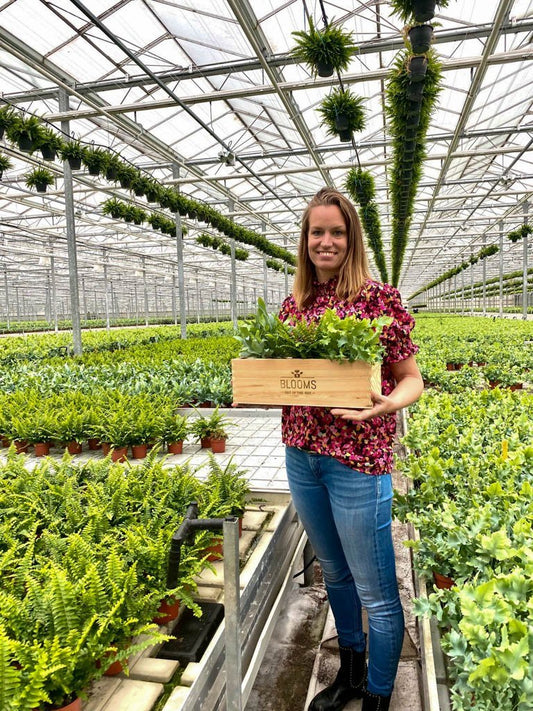 Een kijkje in de groene keuken bij Kelly van Raadschelders Varens - Blooms out of the Box