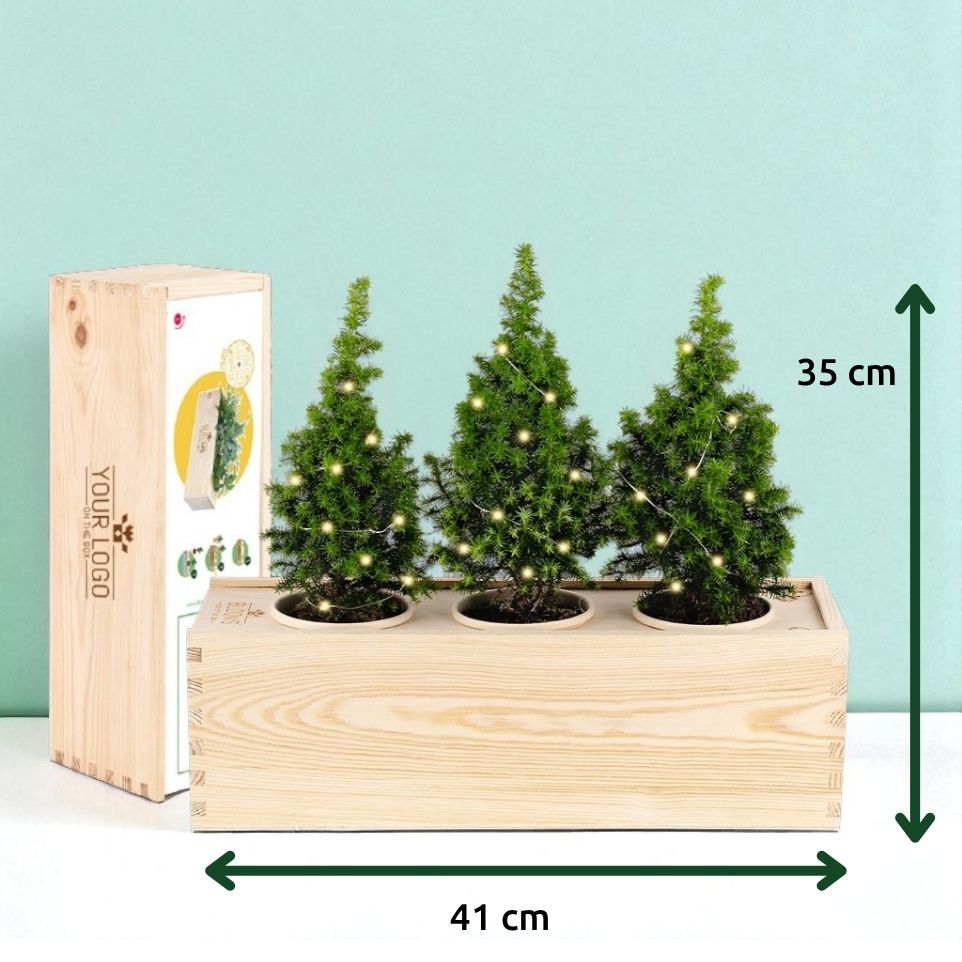 Xmas 'Forest fresh' - L