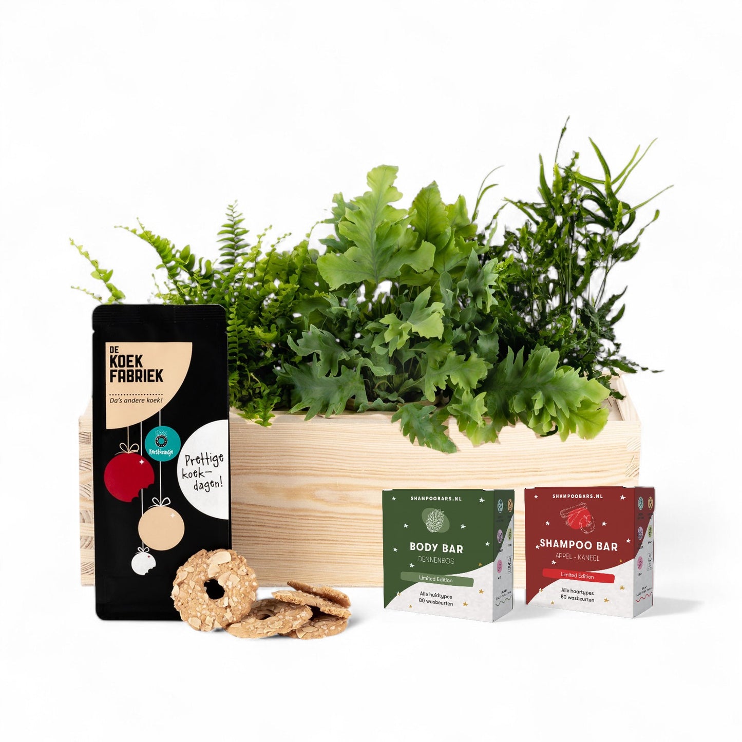Nature 'Beyond the Box' - L