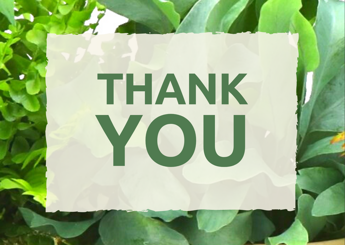 Wenskaart 'Thank you'