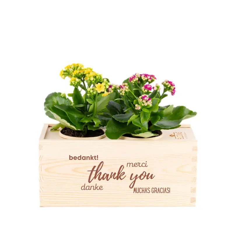 BloomsBox 'Bedankt' - M - Blooms out of the Box