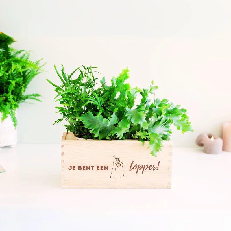 BloomsBox 'Je bent een topper!' - M - Blooms out of the Box