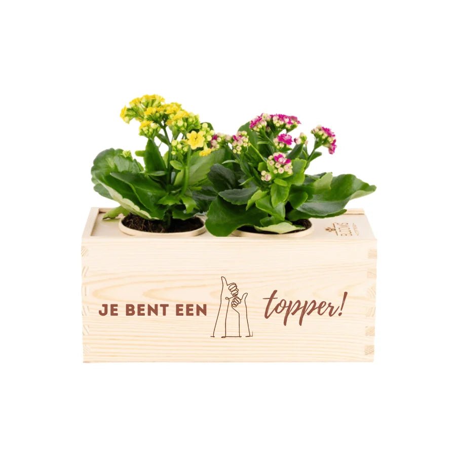 BloomsBox 'Je bent een topper!' - M - Blooms out of the Box