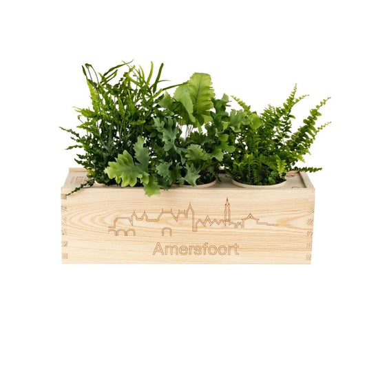 BloomsBox 'Skyline Amersfoort' - L - Blooms out of the Box