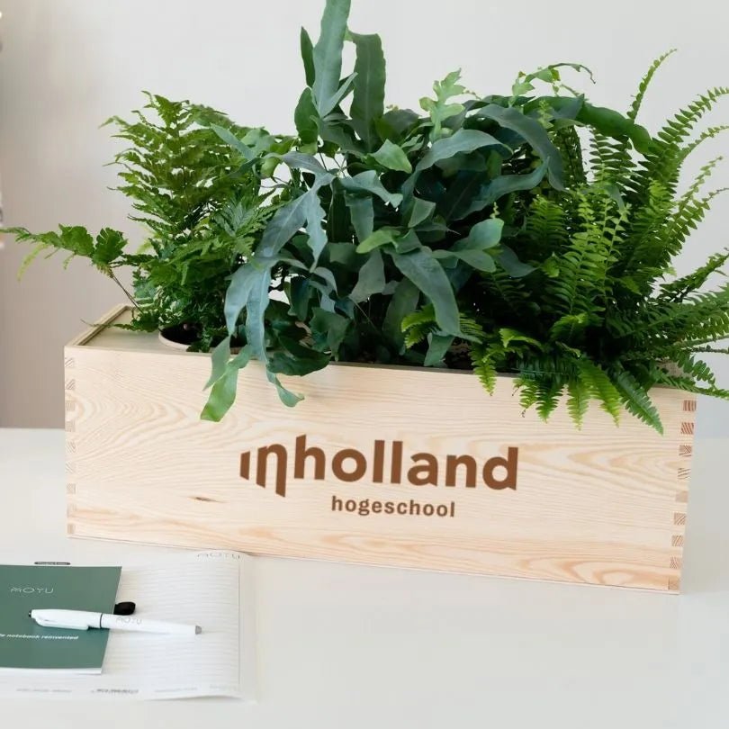 Ervaar zelf: kerst relatiegeschenk met jouw logo! - Blooms out of the Box