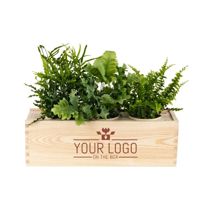 Ervaar zelf: kerst relatiegeschenk met jouw logo! - Blooms out of the Box