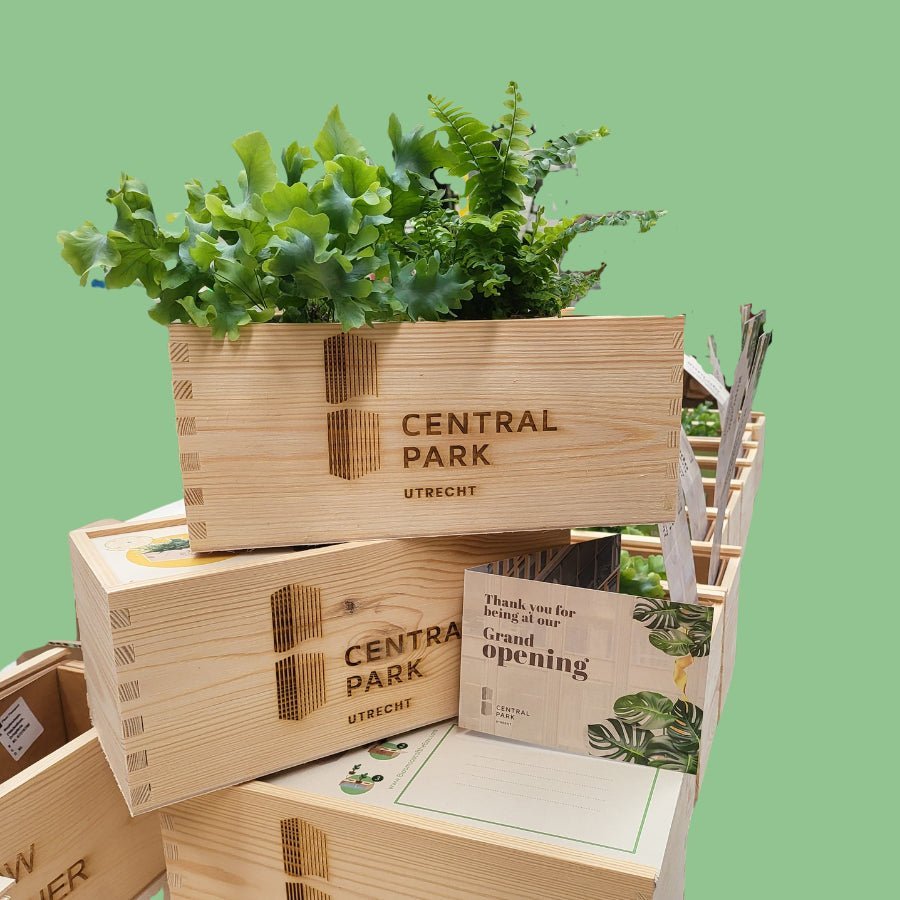 Ervaar zelf: kerst relatiegeschenk met jouw logo! - Blooms out of the Box