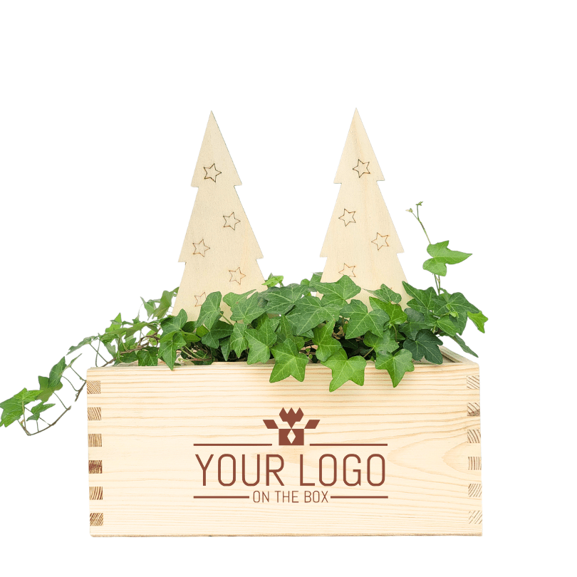 Ervaar zelf: kerst relatiegeschenk met jouw logo! - Blooms out of the Box