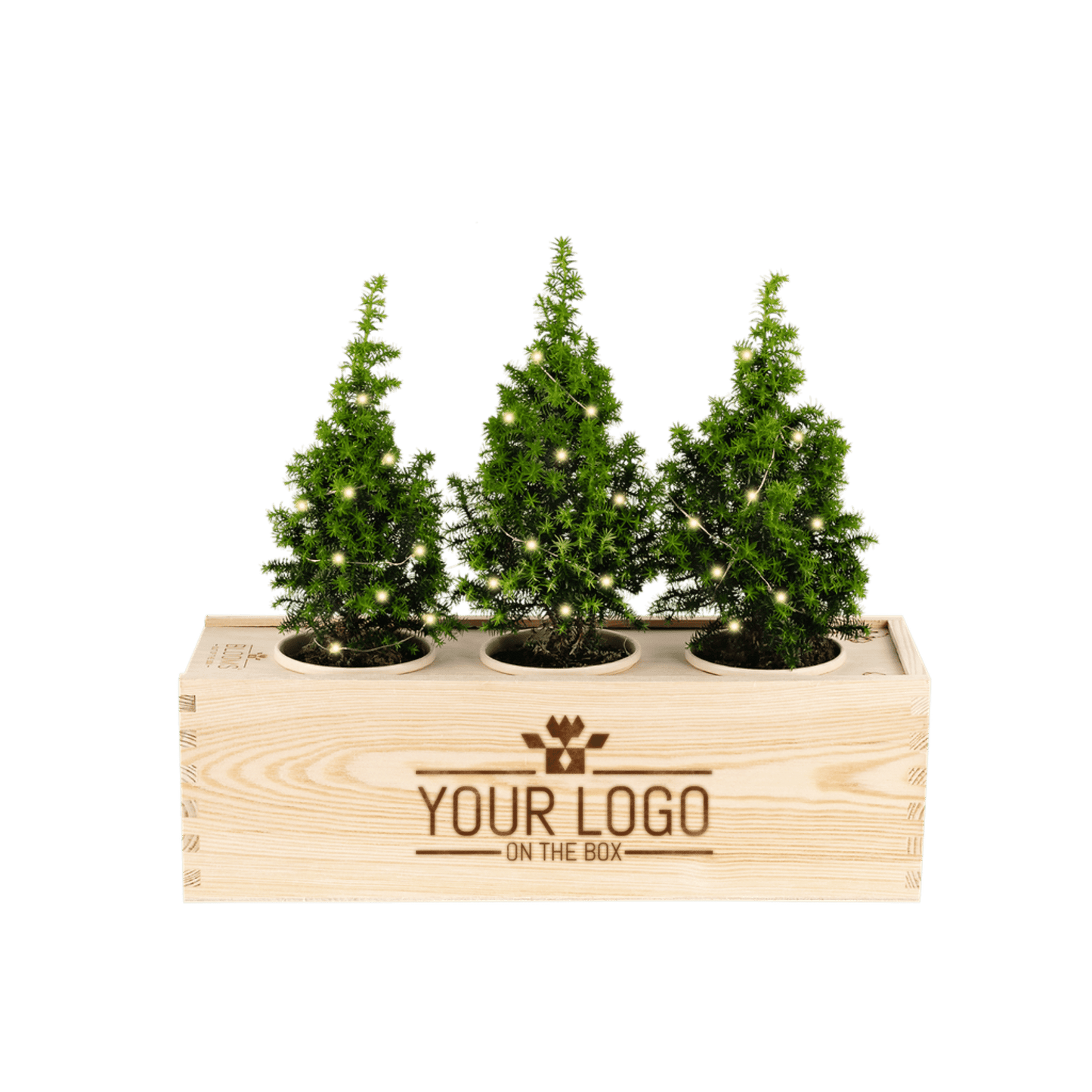 Ervaar zelf: kerst relatiegeschenk met jouw logo! - Blooms out of the Box