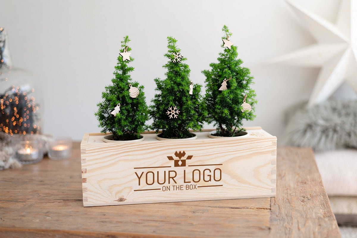 Ervaar zelf: kerst relatiegeschenk met jouw logo! - Blooms out of the Box