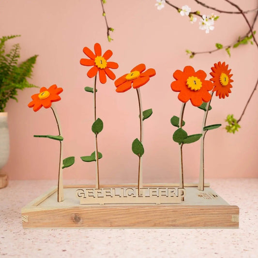 Happy Blooms 'Gefeliciteerd' - Blooms out of the Box