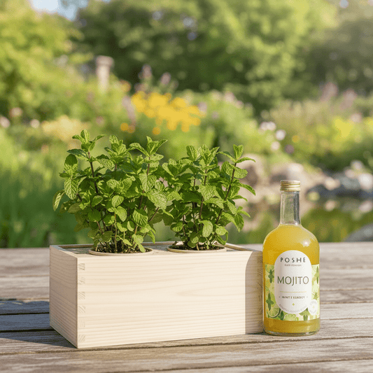 Happy Herbals - Mojito - Blooms out of the Box
