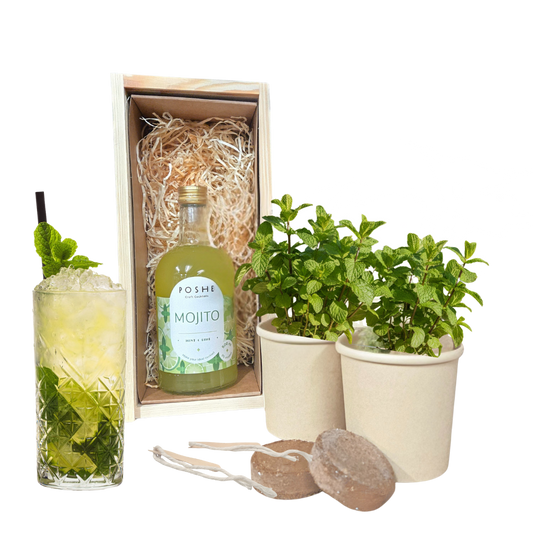Happy Herbals - Mojito - duurzaam bloem- & plantcadeau | Blooms out of the Box