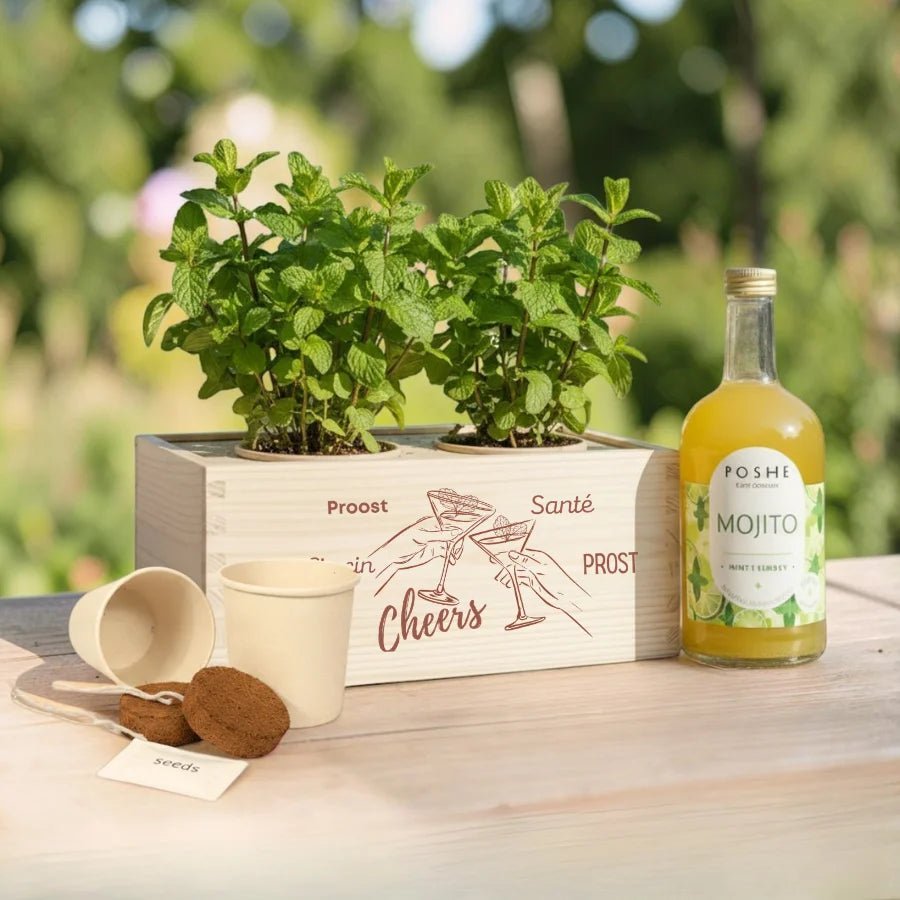 Happy Herbals - Mojito - duurzaam bloem- & plantcadeau | Blooms out of the Box