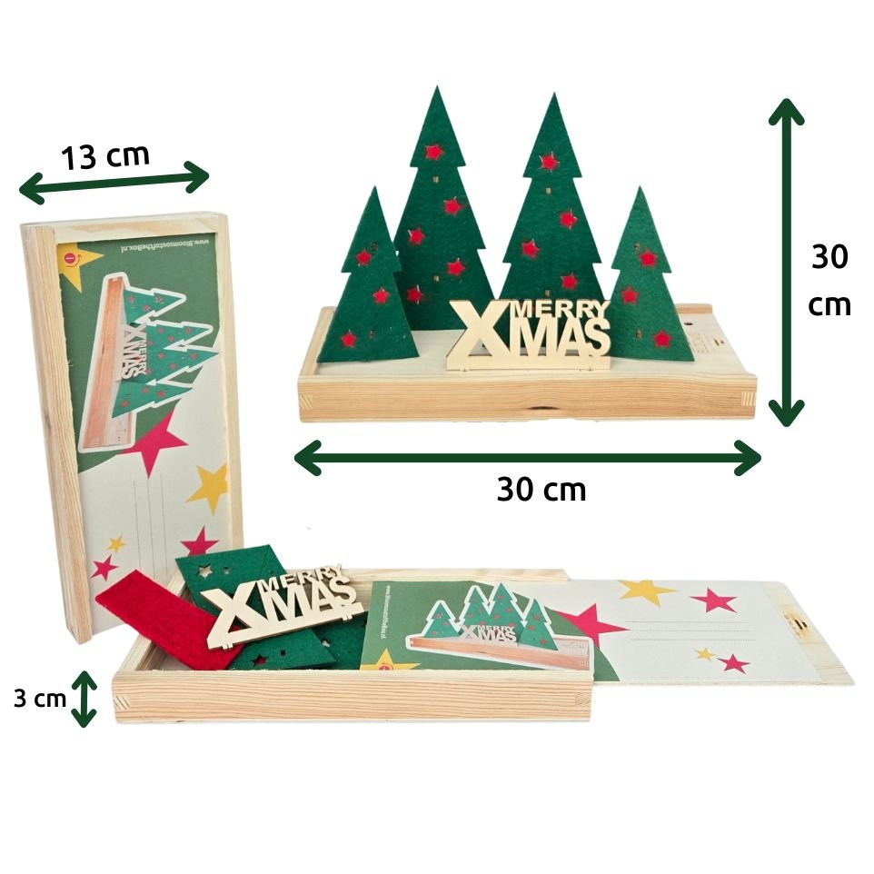 Happy Xmas (vanaf 10) - Blooms out of the Box