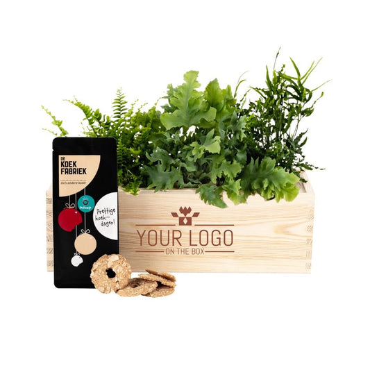 Nature 'Tasty break' - L (vanaf 10) - Blooms out of the Box