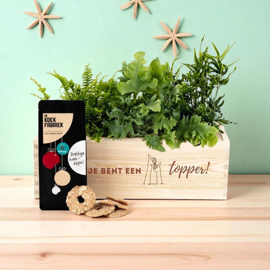 Nature 'Tasty break' - L - Blooms out of the Box