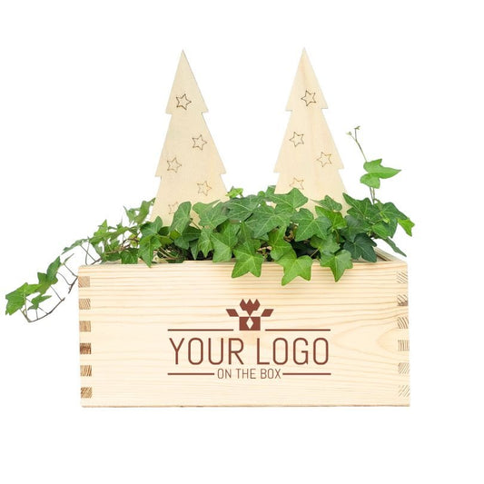 XMas out of the Box - M - Blooms out of the Box