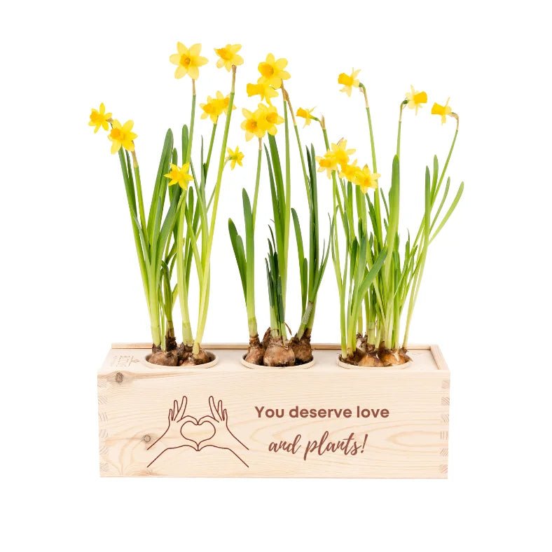 BloomsBox 'You deserve plants' - L - Blooms out of the Box