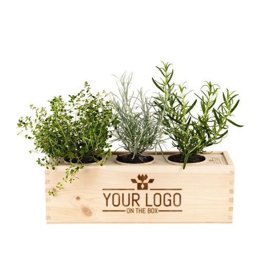 Herbs out of the Box L - gepersonaliseerd relatiegeschenk met kruiden