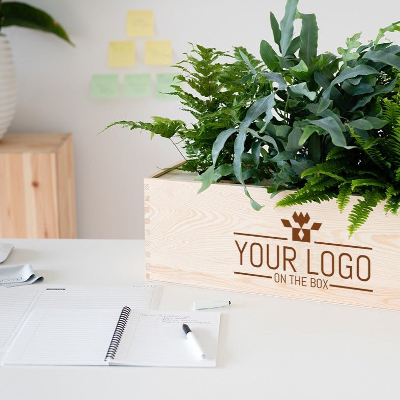 O2 out of the Box - XL - Branded - Blooms out of the Box