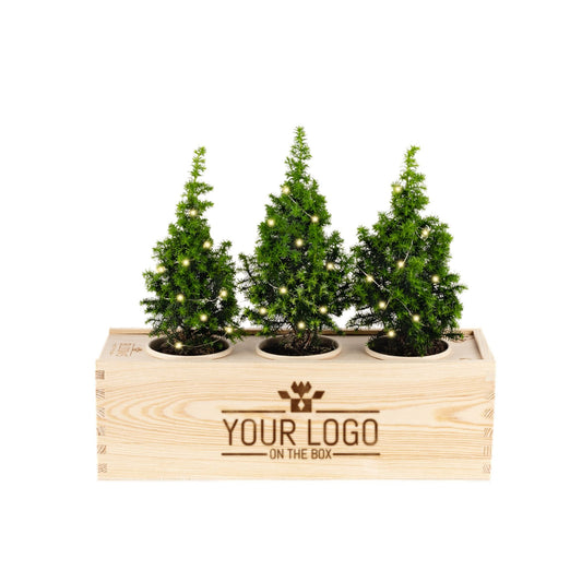 Zakelijk kerstcadeau met logo en kerstboompjes