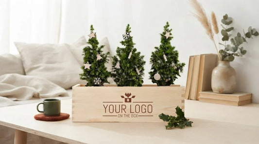 10x eco-vriendelijke kerst relatiegeschenken