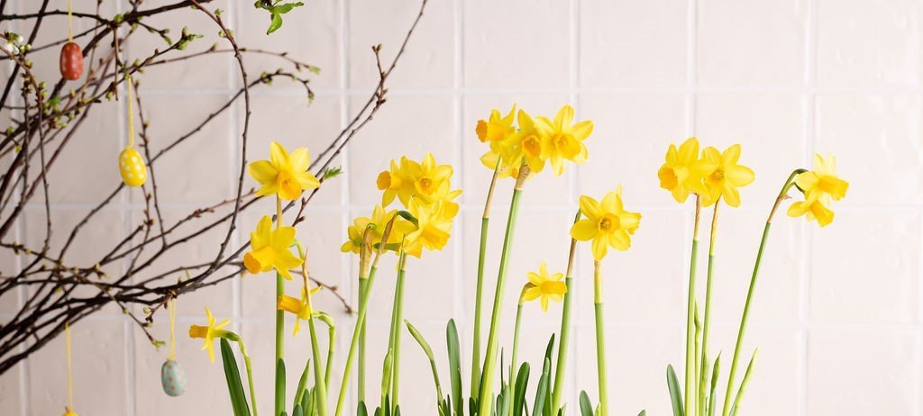 Gezonde paasattenties voor personeel (zonder chocolade) - Blooms out of the Box