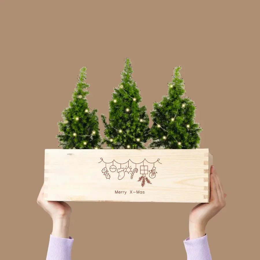 Duurzaam kerstcadeau