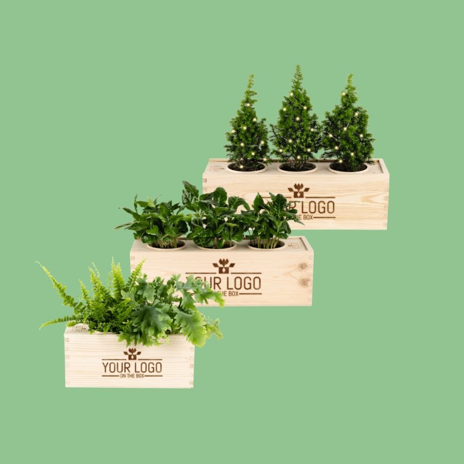 Gepersonaliseerde BloomsBoxen (vanaf 10 stuks)