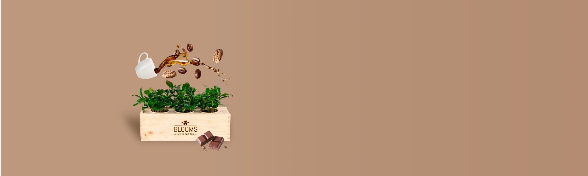Gift for Good BloomsBoxen