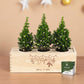 Xmas 'Forest fresh' - L