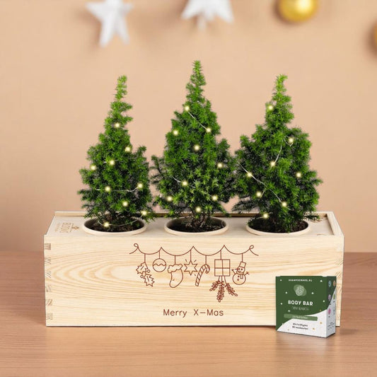 Xmas 'Forest fresh' - L