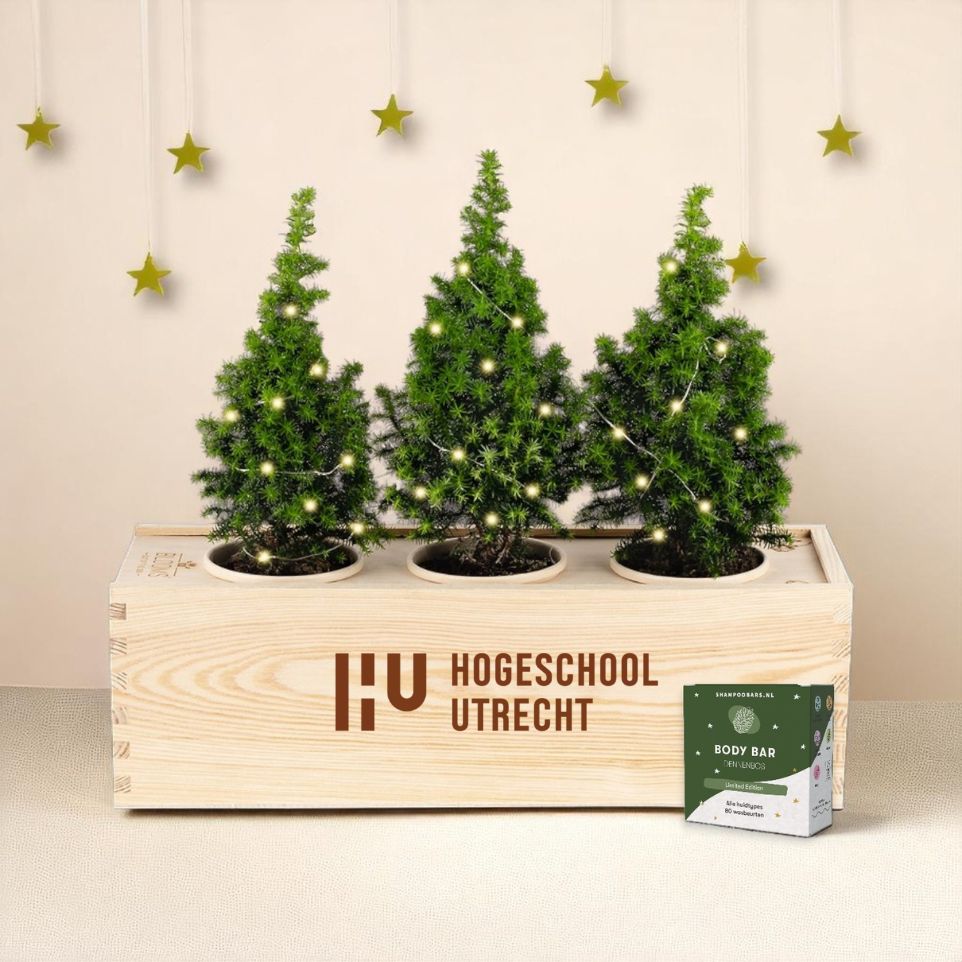 Xmas 'Forest fresh' - L (vanaf 10)