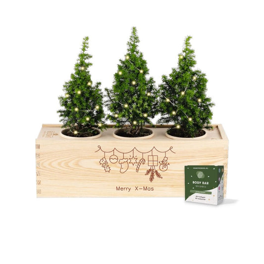 Xmas 'Forest fresh' - L