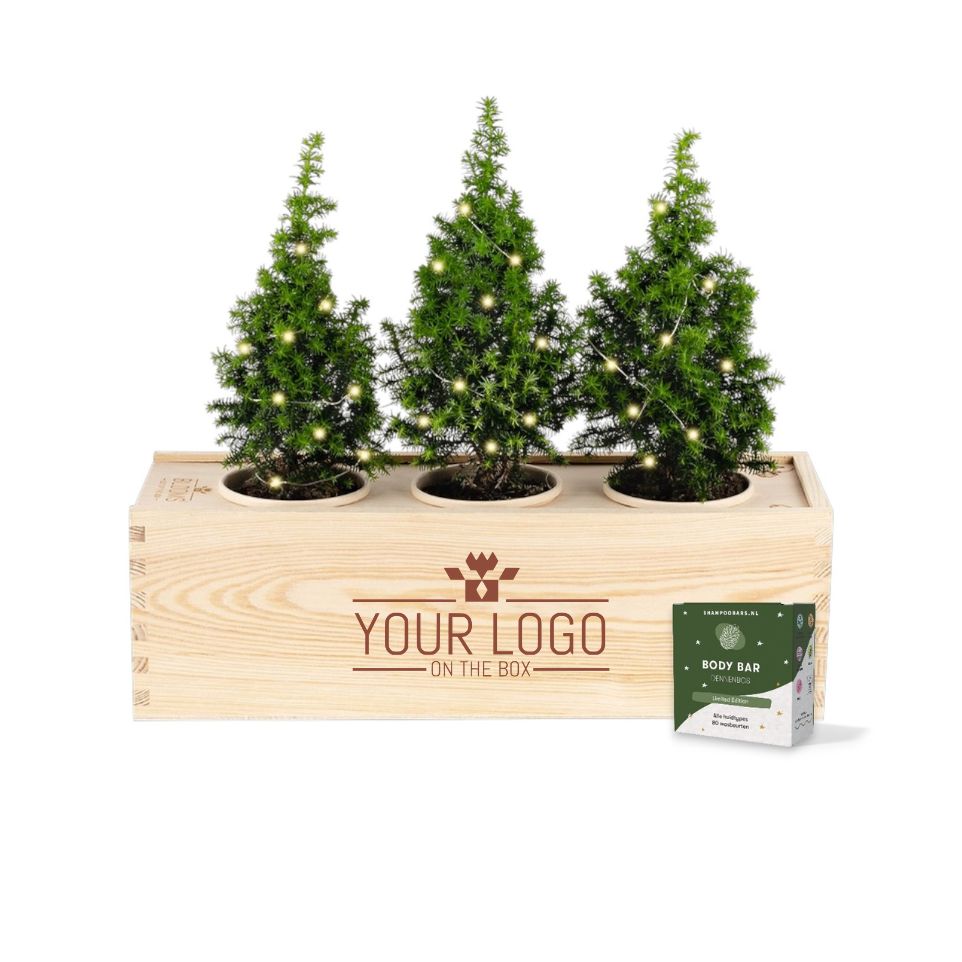 Xmas 'Forest fresh' - L (vanaf 10)