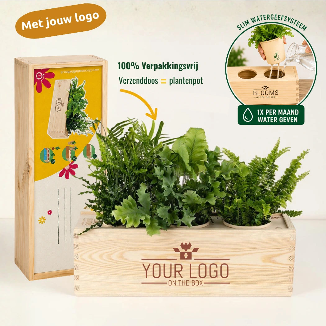 Nature out of the Box - L (vanaf 10)