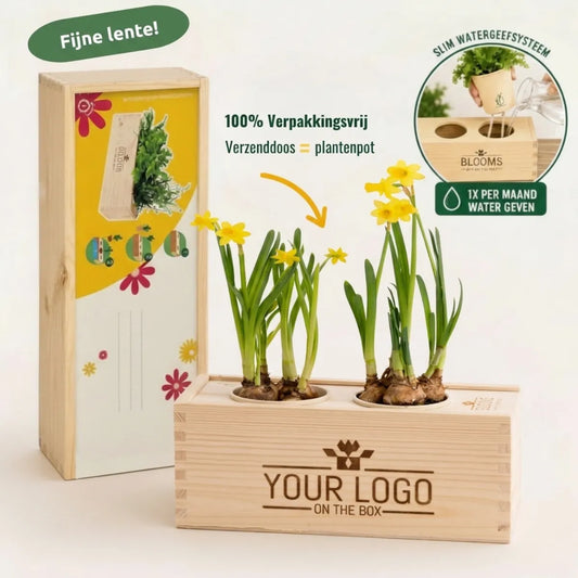 Spring out of the Box 'your design' - M