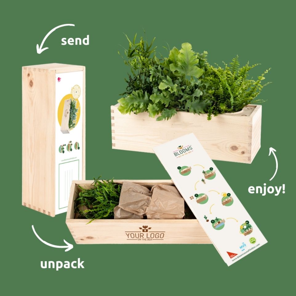 Nature 'Beyond the Box' - L