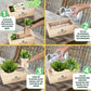 Nature 'Beyond the Box' - L