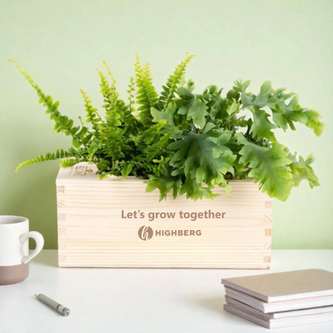 BloomsBox 'your WELKOM design' - M