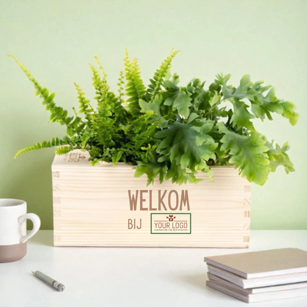 BloomsBox 'your WELKOM design' - M