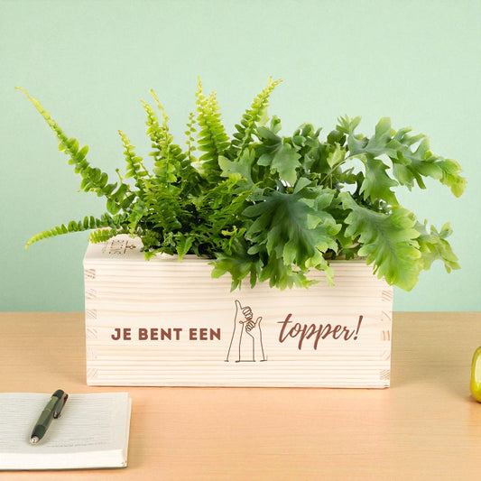 BloomsBox 'Je bent een topper!' - M