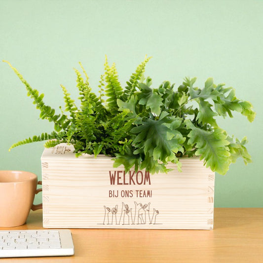 BloomsBox 'Welkom' - M