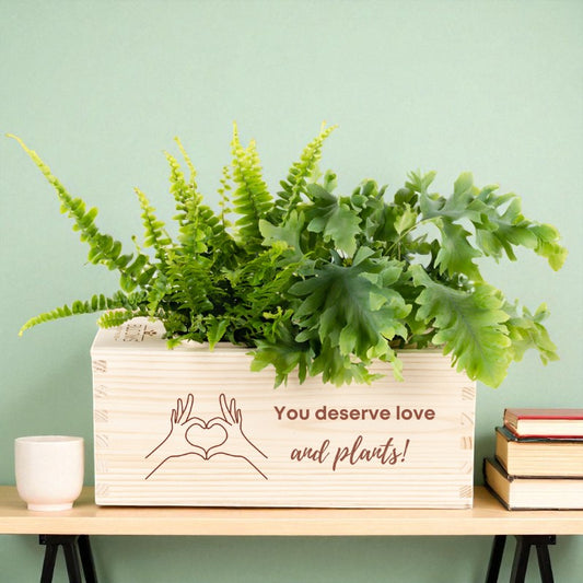 BloomsBox 'You deserve plants' - M