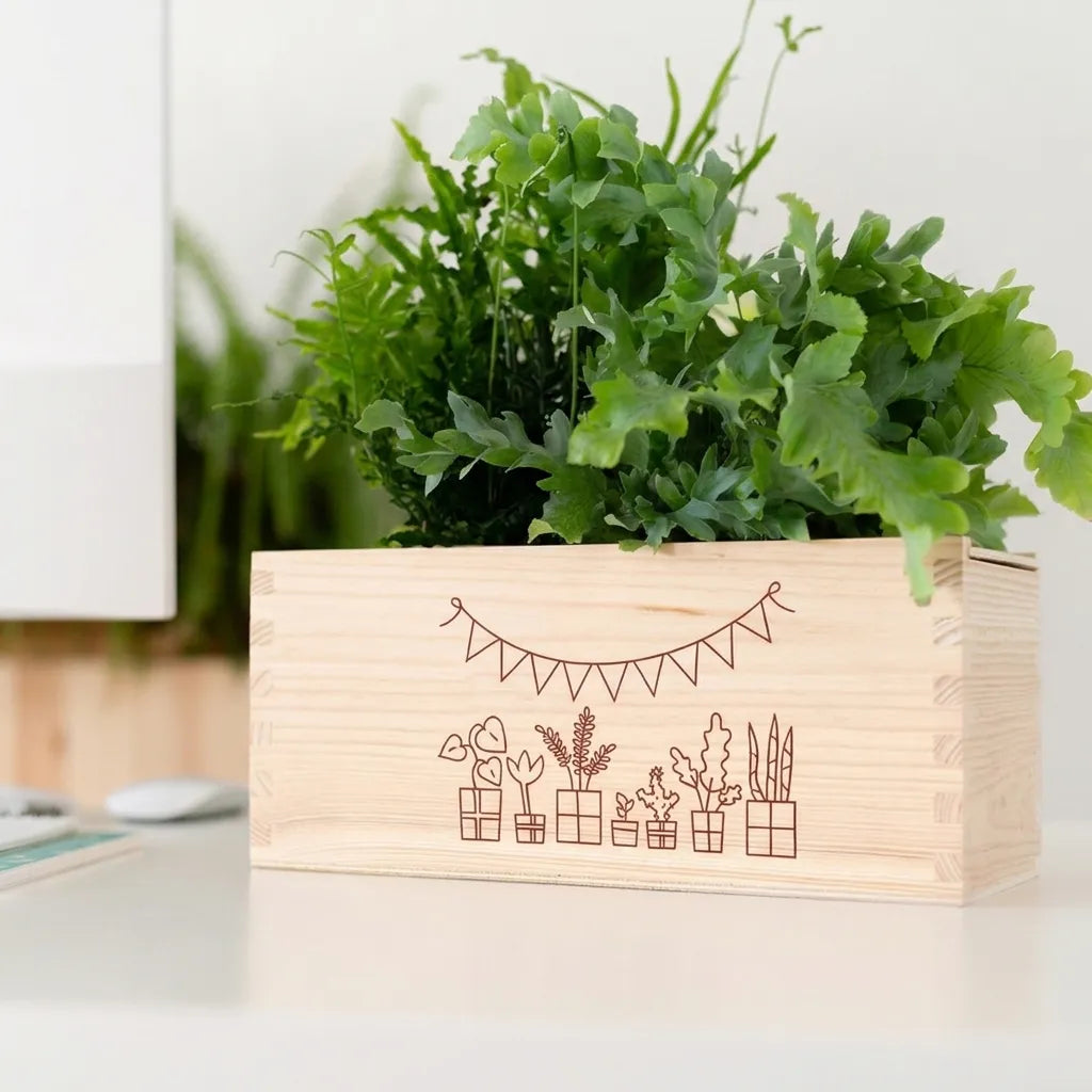BloomsBox 'Gefeliciteerd' - M