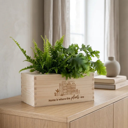 BloomsBox 'Home is where plants are' - M