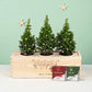 Xmas 'Winter wellness' - L