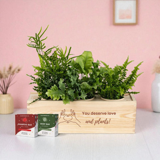 Nature 'Winter Wellness' - L